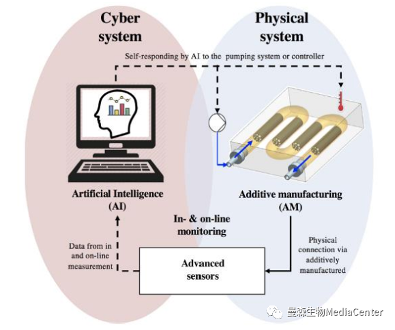 智能解决方案工程师：打造未来科技之路